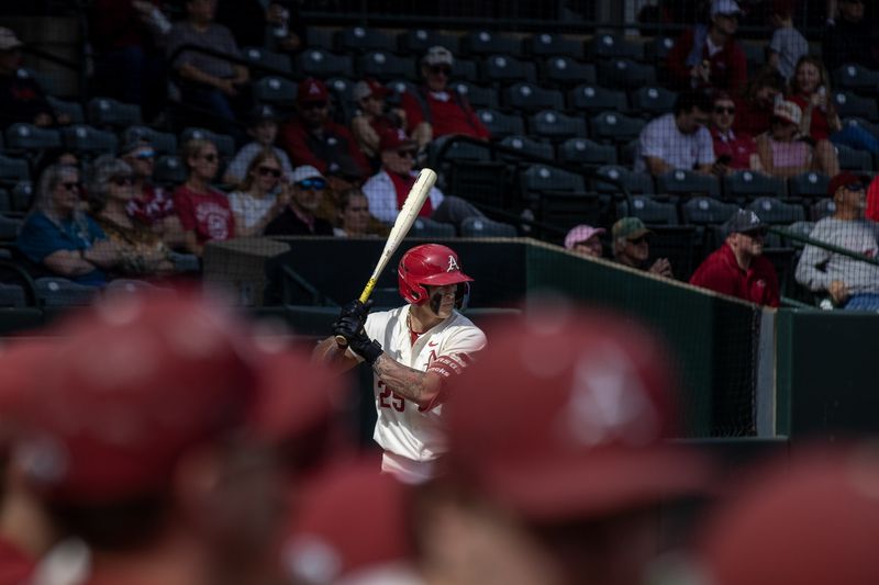 Razorback batter at the plate seen past the dugout